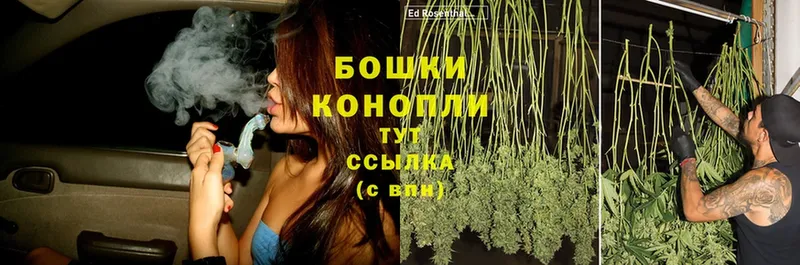 Конопля SATIVA & INDICA  Рязань 